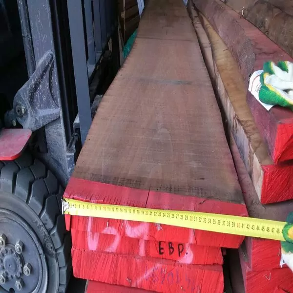 IMG_6178-15-10-18-12-02 (1)