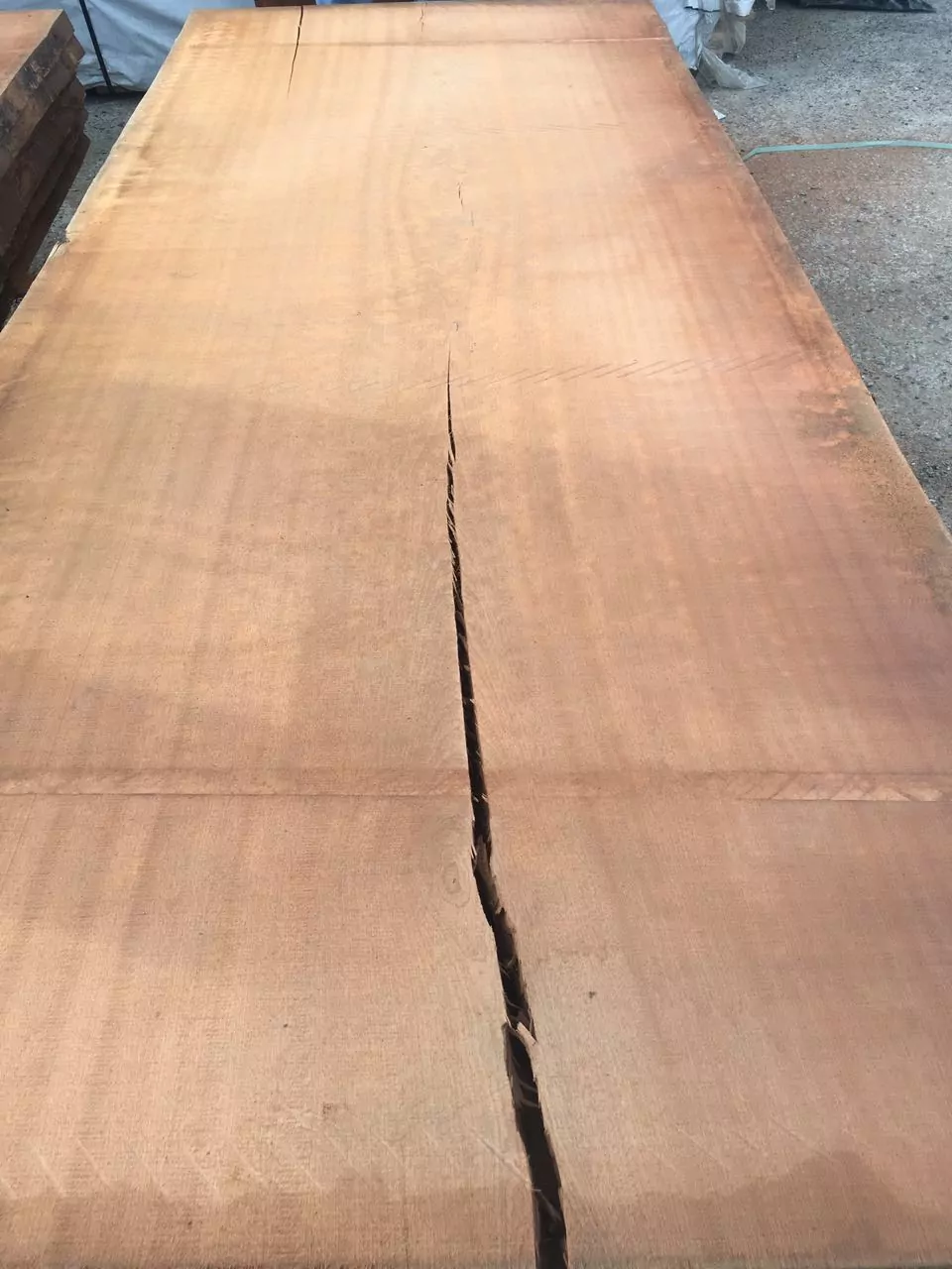 IMG_6182-15-10-18-12-02