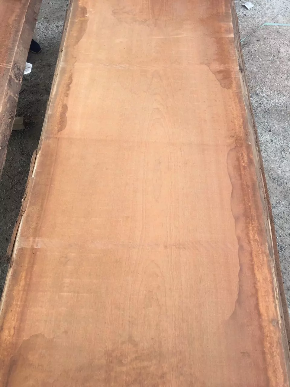 IMG_6187-15-10-18-12-02