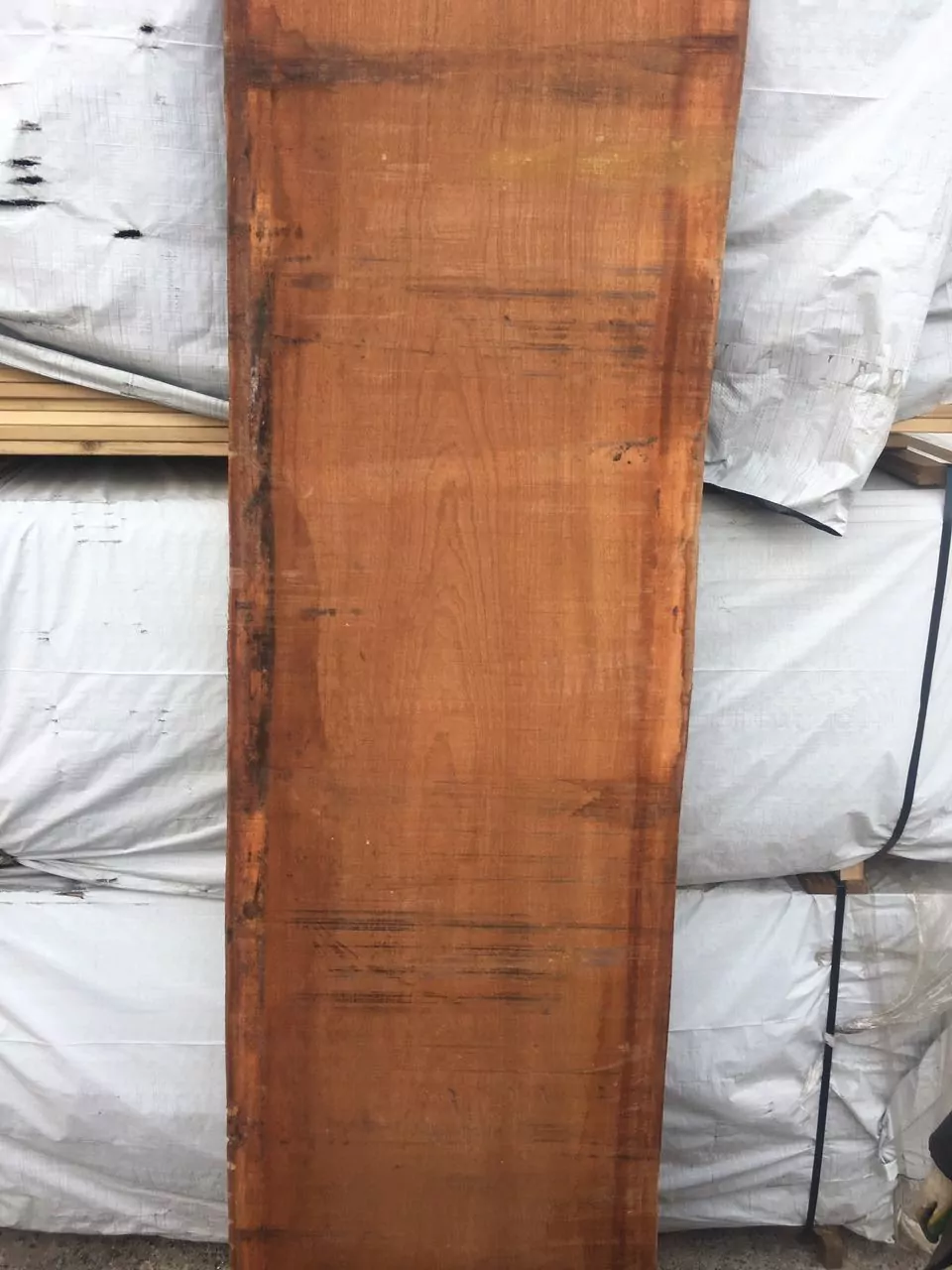 IMG_6188-15-10-18-12-02