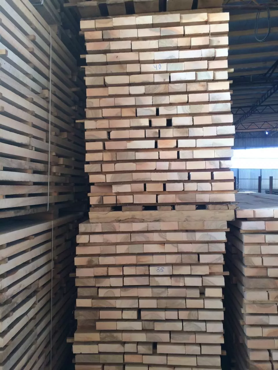 IMG_6201-15-10-18-12-02