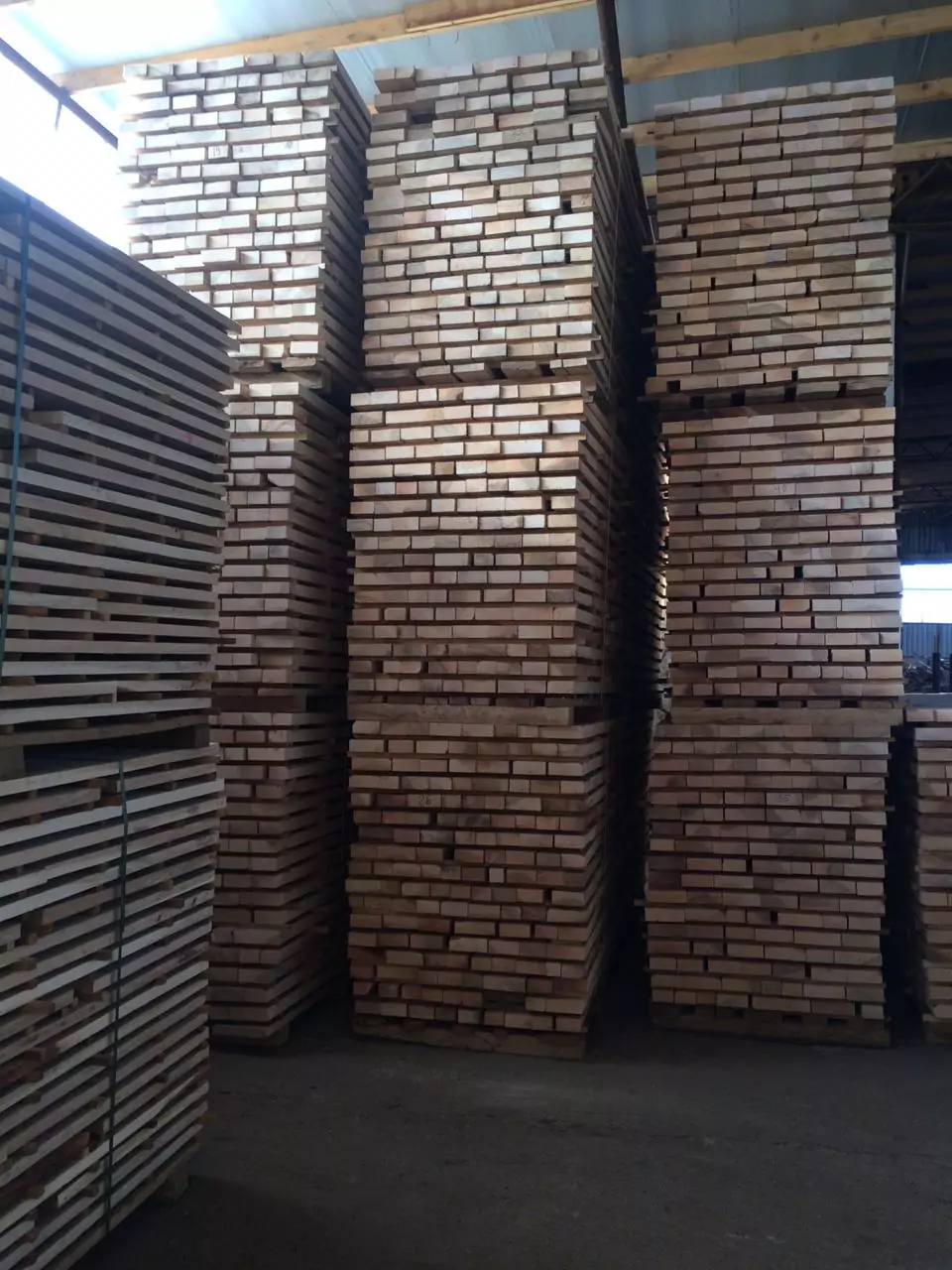 IMG_6202-15-10-18-12-02