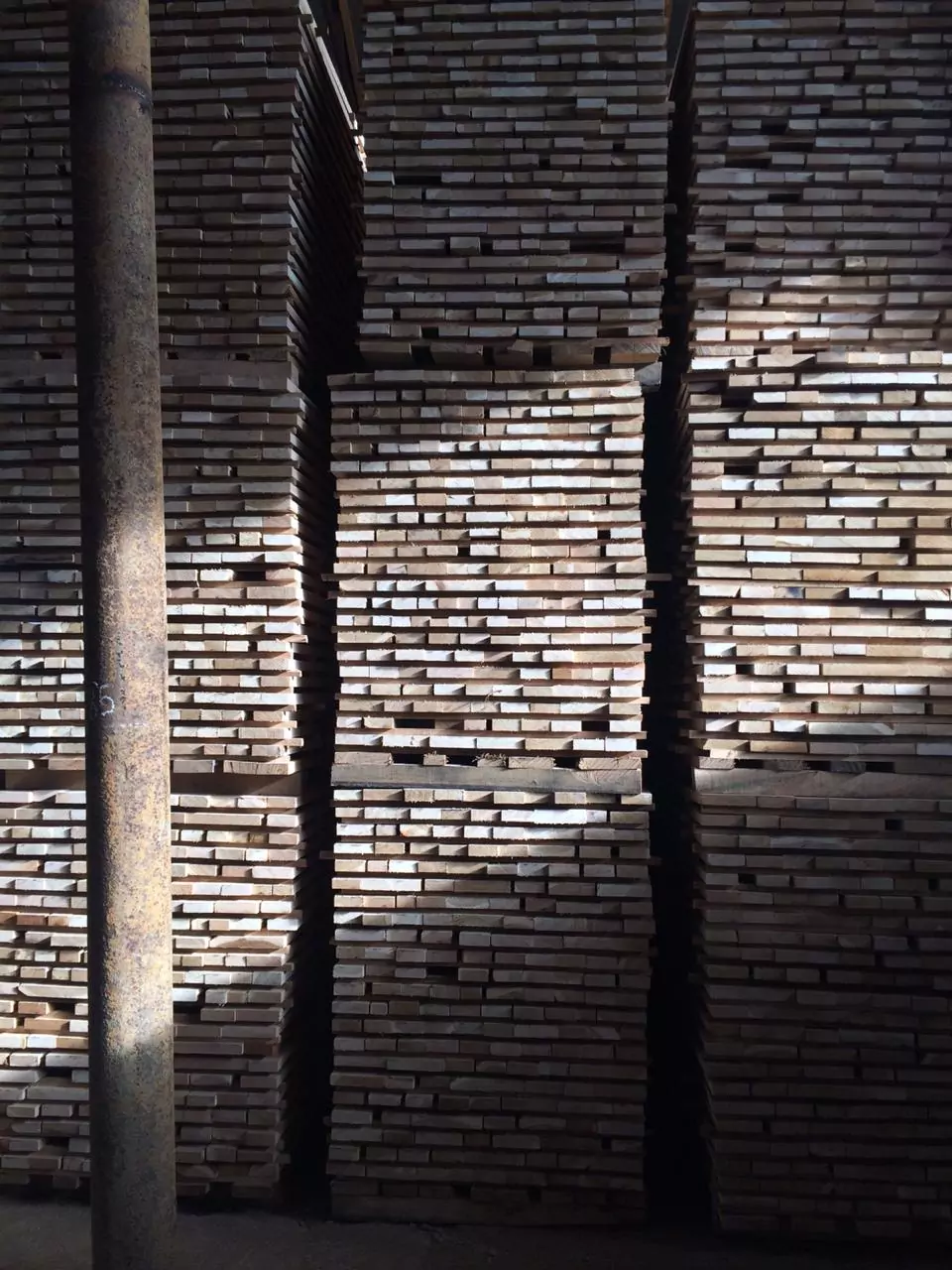 IMG_6203-15-10-18-12-02