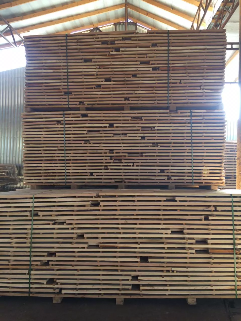 IMG_6204-15-10-18-12-02